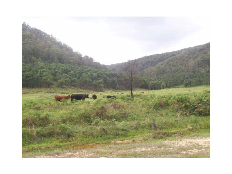 369 Dairy Arm Road, Laguna NSW 2325