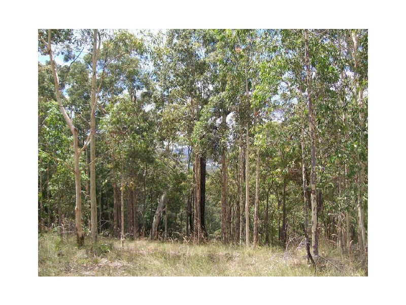 704 Lake Road, Elrington NSW 2325