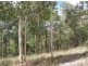 704 Lake Road, Elrington NSW 2325