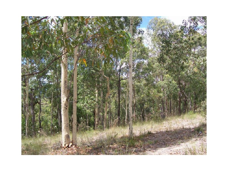 704 Lake Road, Elrington NSW 2325
