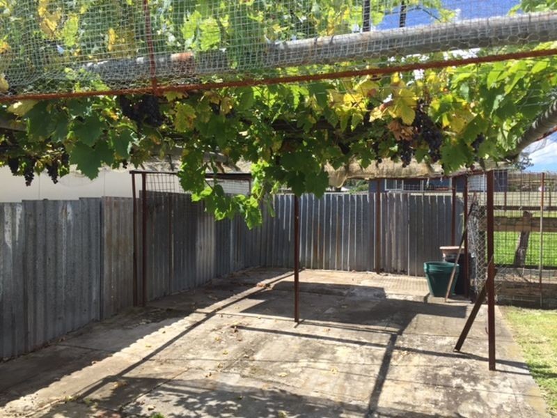 6 Hallam Street, Cessnock NSW 2325