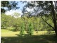 441 Wallaby Gully Road, Ellalong NSW 2325