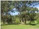 441 Wallaby Gully Road, Ellalong NSW 2325