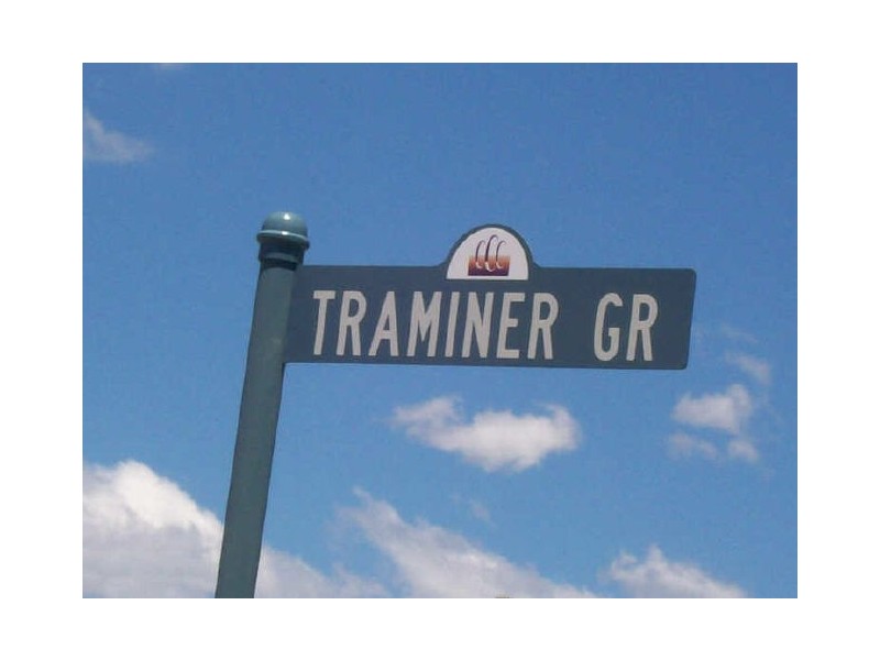 4 Traminer Grove, Cessnock NSW 2325