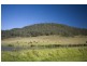 1845 Wollombi Road, Sweetmans Creek NSW 2325