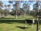 124 Lake Road, Elrington NSW 2325
