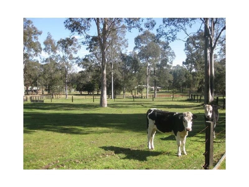124 Lake Road, Elrington NSW 2325