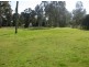 124 Lake Road, Elrington NSW 2325