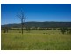 31 Walmsley Street, Millfield NSW 2325