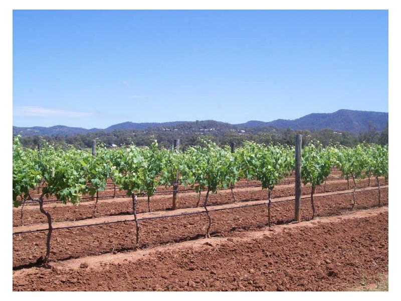 Suite 1/426 Mcdonalds Road, Pokolbin NSW 2320