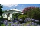 5 Stuart Street, Abernethy NSW 2325