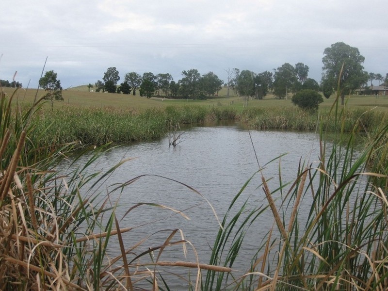 425 Dalwood Road, Branxton NSW 2335