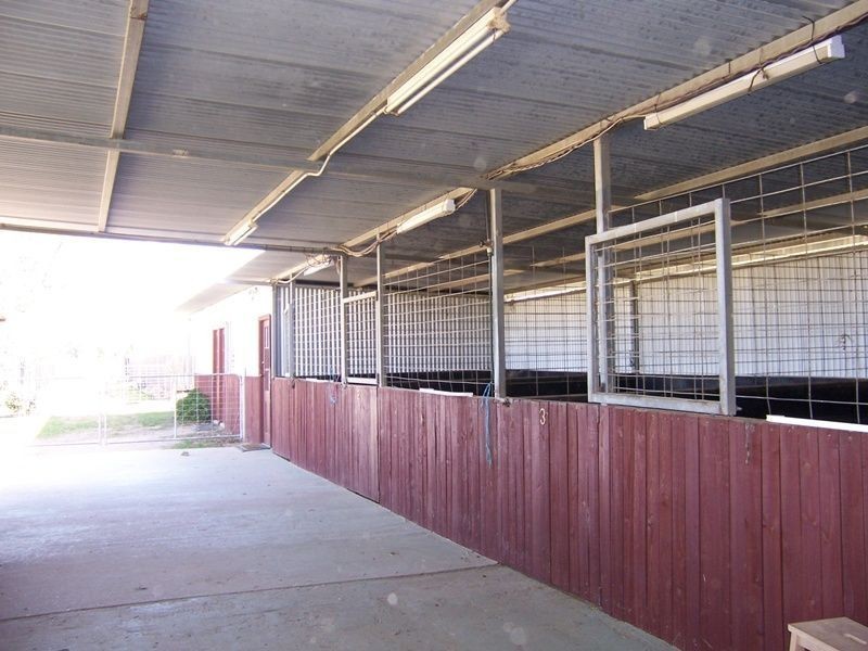 5 Lindsay Street, Belford NSW 2335