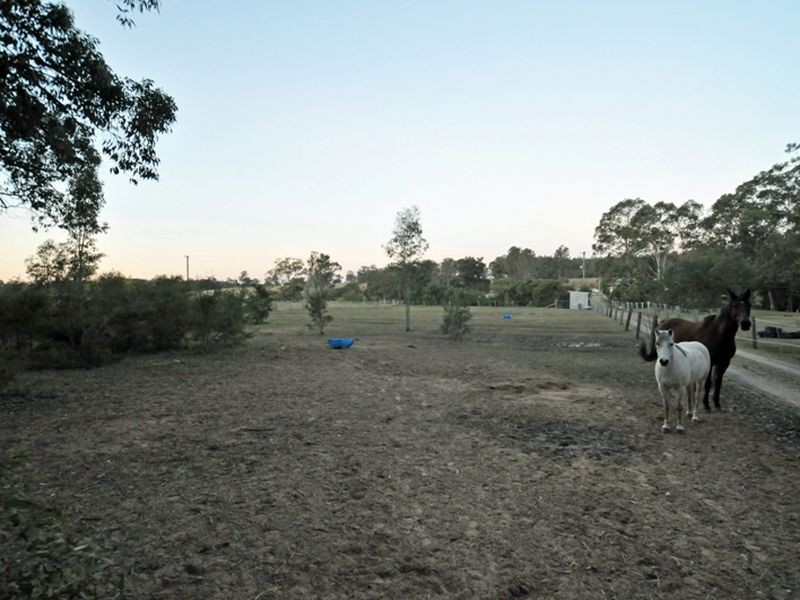 54 Bakers Lane, Sawyers Gully NSW 2326