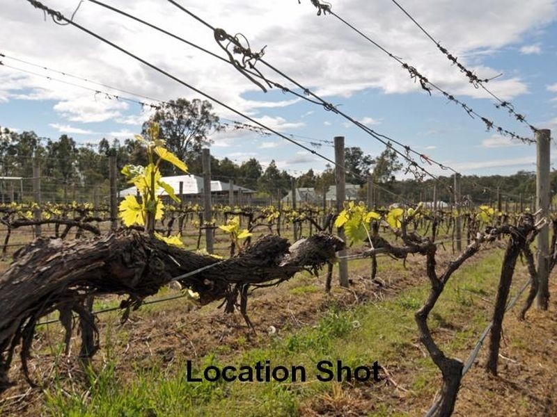 Lot 11 Kelman Estate, Pokolbin NSW 2320