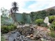 2 Sauvignon Grove, Cessnock NSW 2325