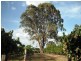 Lot 7 Kelman Estate, Pokolbin NSW 2320