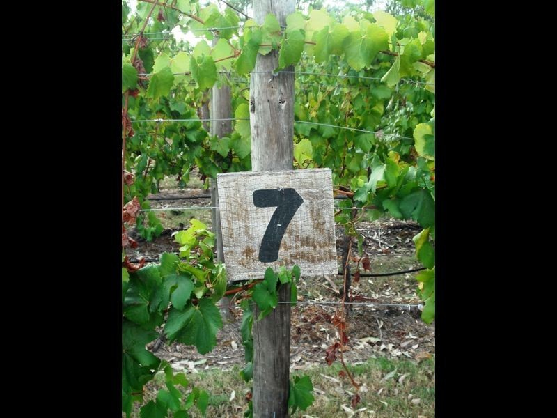 Lot 7 Kelman Estate, Pokolbin NSW 2320