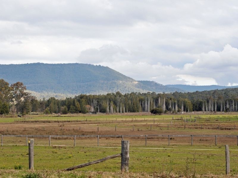 27-29 Mulbring Street, Ellalong NSW 2325