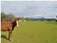 166 Sandy Creek Road, Ashtonfield NSW 2323