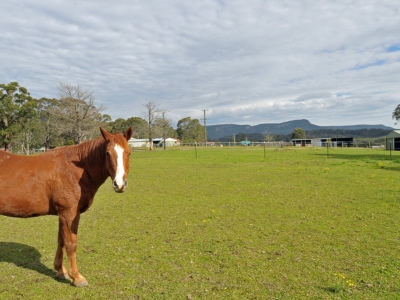 166 Sandy Creek Road, Ashtonfield NSW 2323