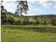 166 Sandy Creek Road, Ashtonfield NSW 2323