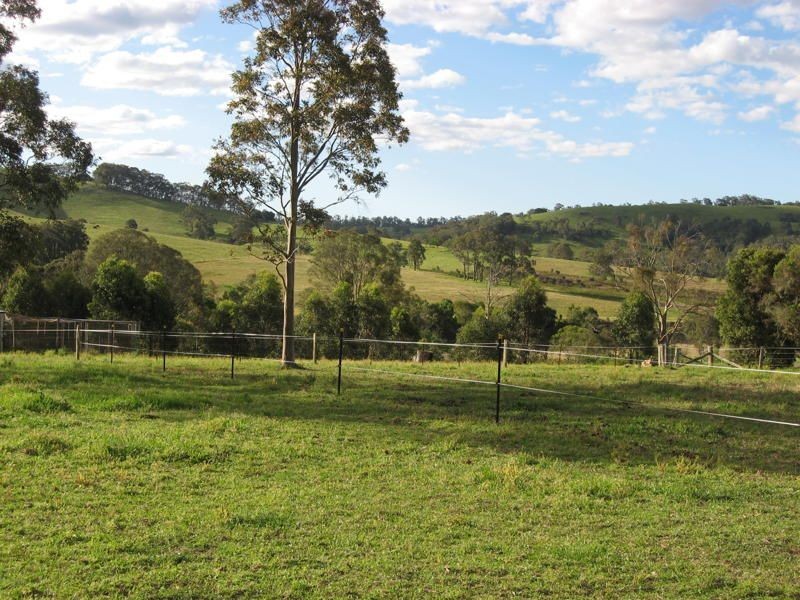 166 Sandy Creek Road, Ashtonfield NSW 2323
