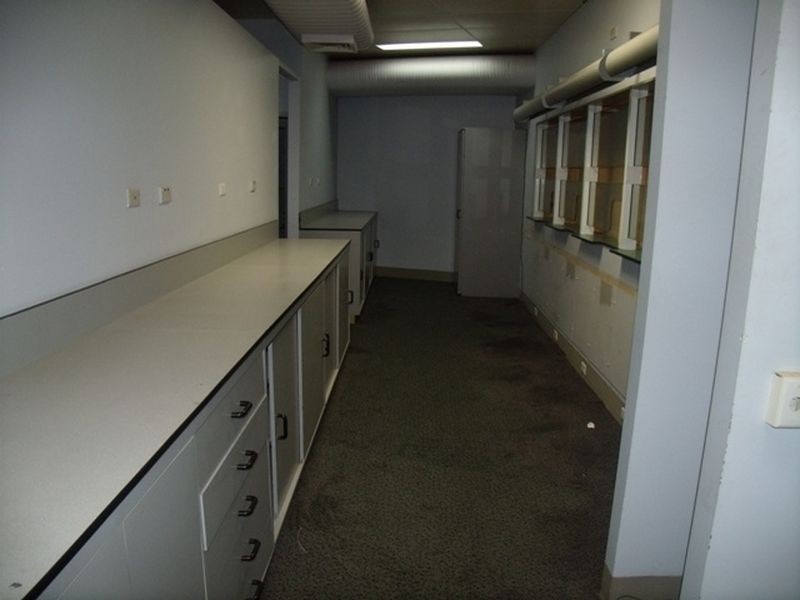 205 Lang Street, Kurri Kurri NSW 2327