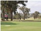 18 Liquid amber access, Rothbury NSW 2320