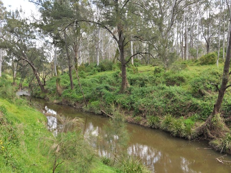 Lot 91 Hanwood Road, North Rothbury NSW 2335