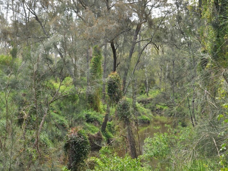 Lot 91 Hanwood Road, North Rothbury NSW 2335