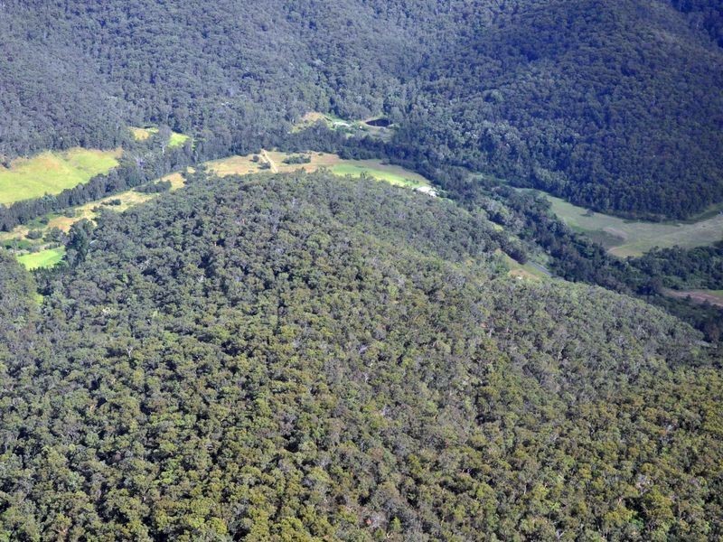 2317 Wollombi Road, Wollombi NSW 2325