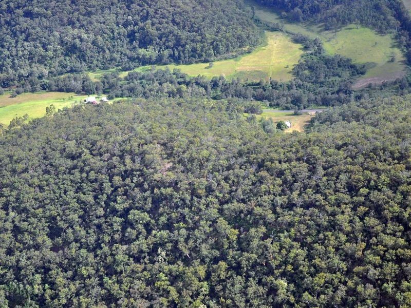 2317 Wollombi Road, Wollombi NSW 2325