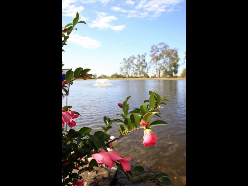 Villa/773 Cyress Lakes Resort, Pokolbin NSW 2320