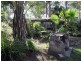 3 Brown Street, Paxton NSW 2325