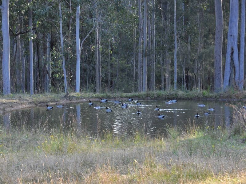 222 Ellalong Road, Ellalong NSW 2325