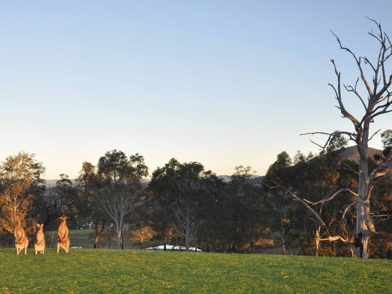 VILLA 8 ELYSIA, Pokolbin NSW 2320