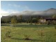 118 Milbrodale Road, Broke NSW 2330