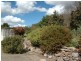 118 Milbrodale Road, Broke NSW 2330