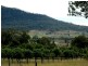 118 Milbrodale Road, Broke NSW 2330