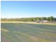 Lot 8 The Tallowwoods, Rothbury NSW 2320