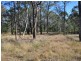 LOT 11 De Beyers Road, Pokolbin NSW 2320