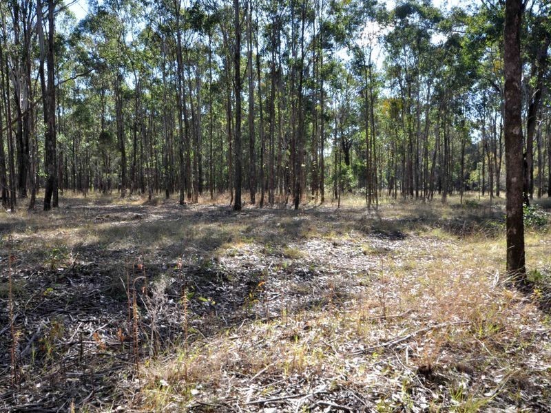 LOT 11 De Beyers Road, Pokolbin NSW 2320