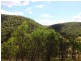 1739 Wollombi Road, Sweetmans Creek NSW 2325