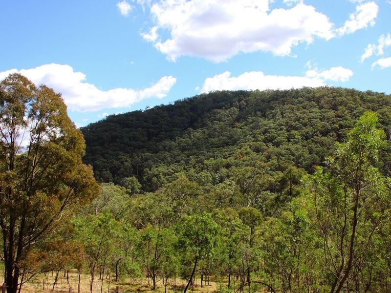 1739 Wollombi Road, Sweetmans Creek NSW 2325