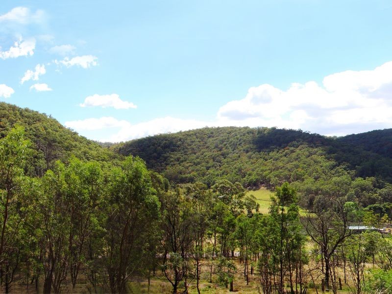 1739 Wollombi Road, Sweetmans Creek NSW 2325