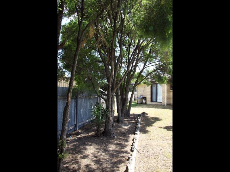 1 & 2 / 32 Edith Street, Cessnock NSW 2325