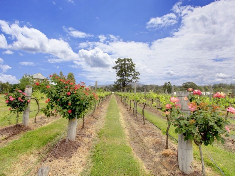 Lot 56 Kelman Estate, Pokolbin NSW 2320