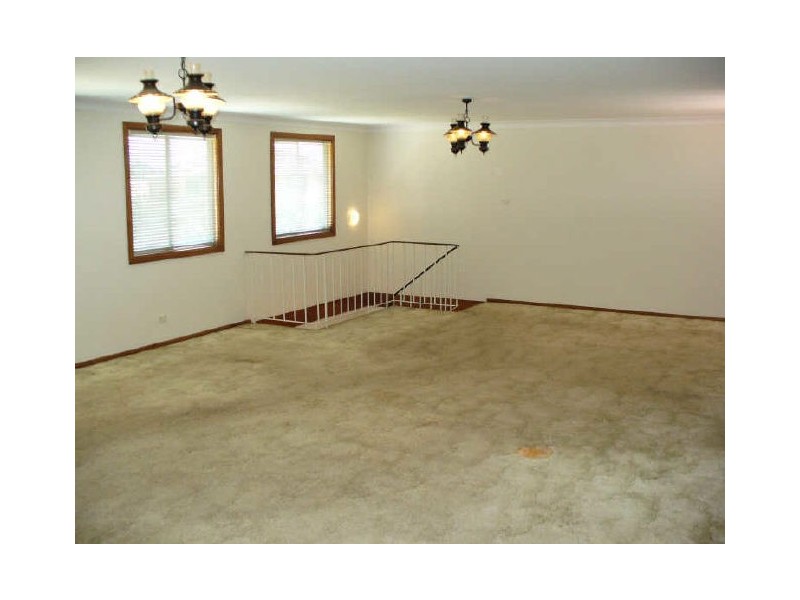 8 Thurlow Street, Riverwood NSW 2210