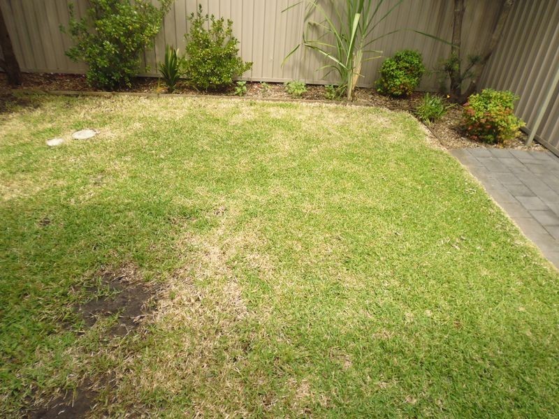 148 Belmore Road, Riverwood NSW 2210